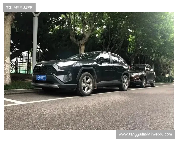 RAV4荣放:省油如喝水,嗓门大过妈? RAV4荣放:省油如喝水,嗓门大过妈?