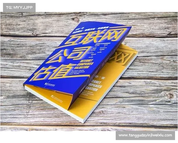 企业估值方法 企业估值方法