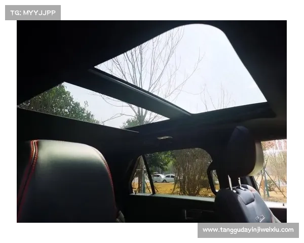 你真的需要 全景天窗吗 你真的需要 全景天窗吗